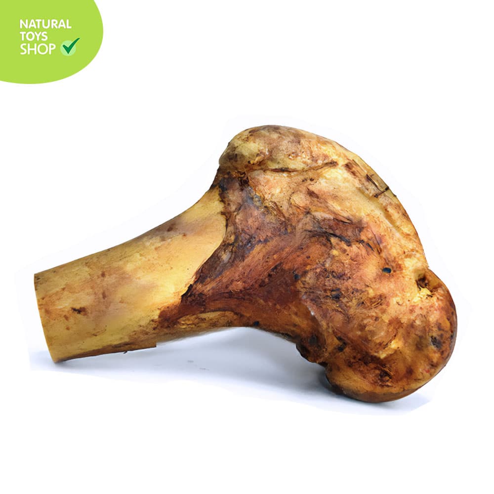 Hueso_femur_res_medio_calambombo_natural_deshidratado_amigos_perros_mascotas_b Hueso deshidratado femur res medio calambombo premios para perros