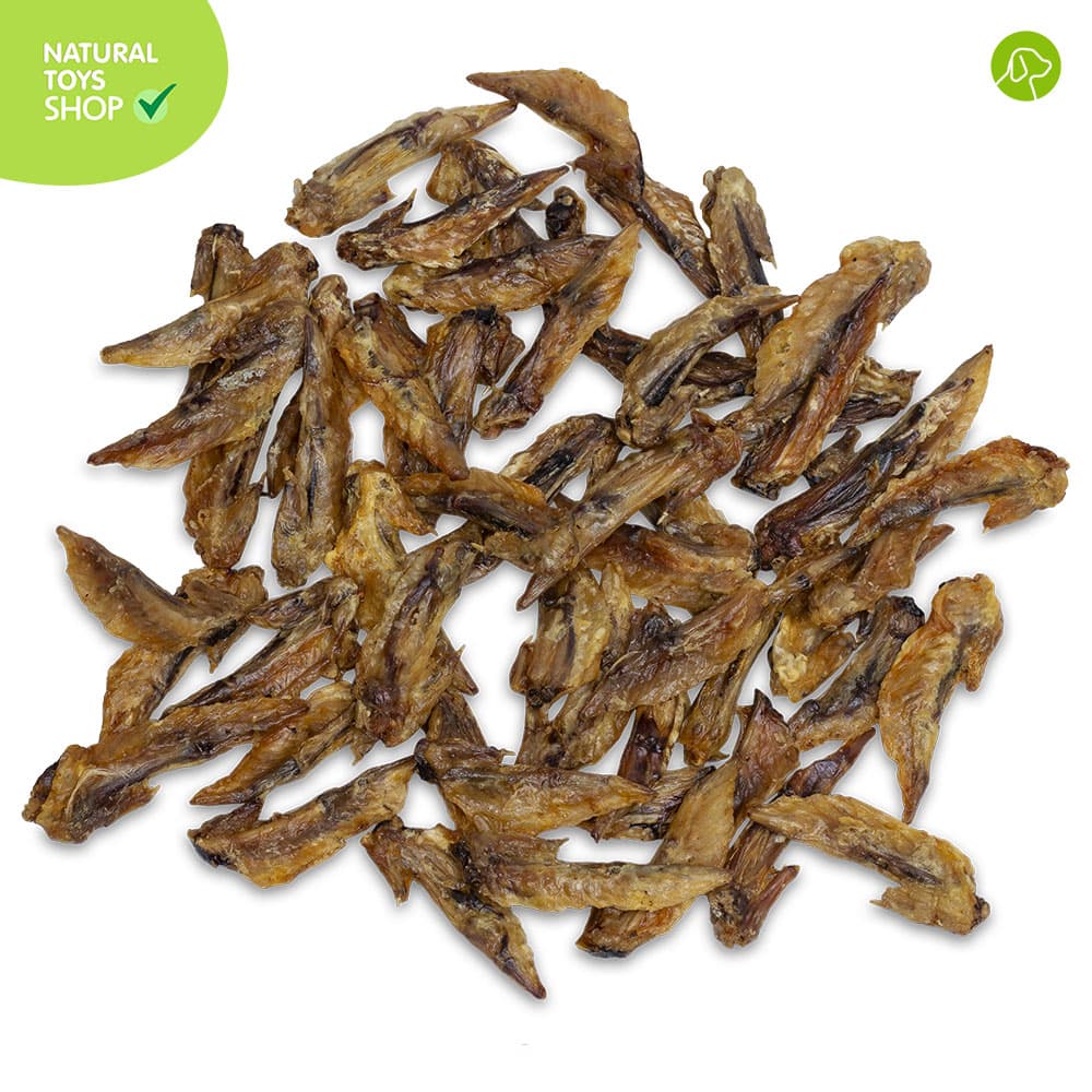 Snacks_alitas_pollo_deshidratados_organico_amigos_naturales_perros_gatos_mascotas_regadas alitas de pollo deshidratadas snacks premios naturales, orgánicos y saludables para perros